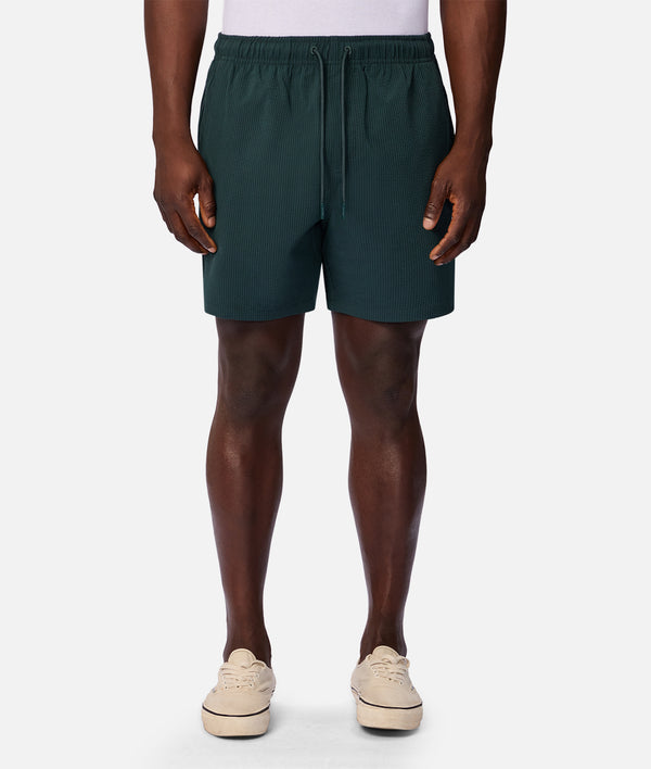 The New Seersucker Swim Short