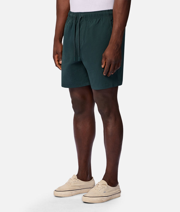 The New Seersucker Swim Short