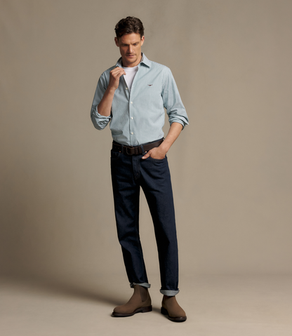 Sommers poplin stripe shirt